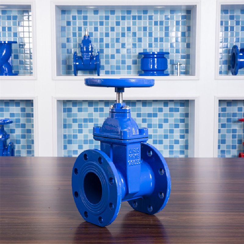 Kenkan pii fa Gate Valves Sale ho .