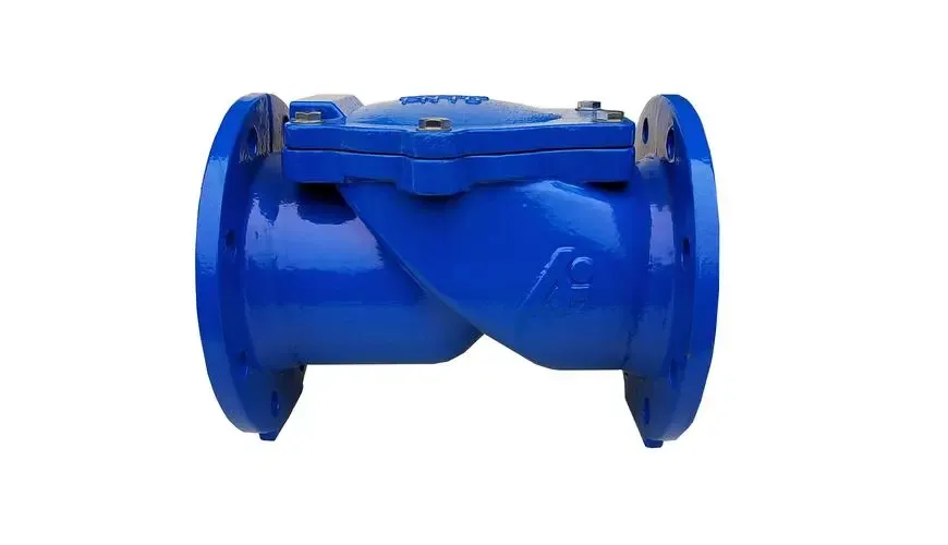Kenkan pii fa check valve assy ho .